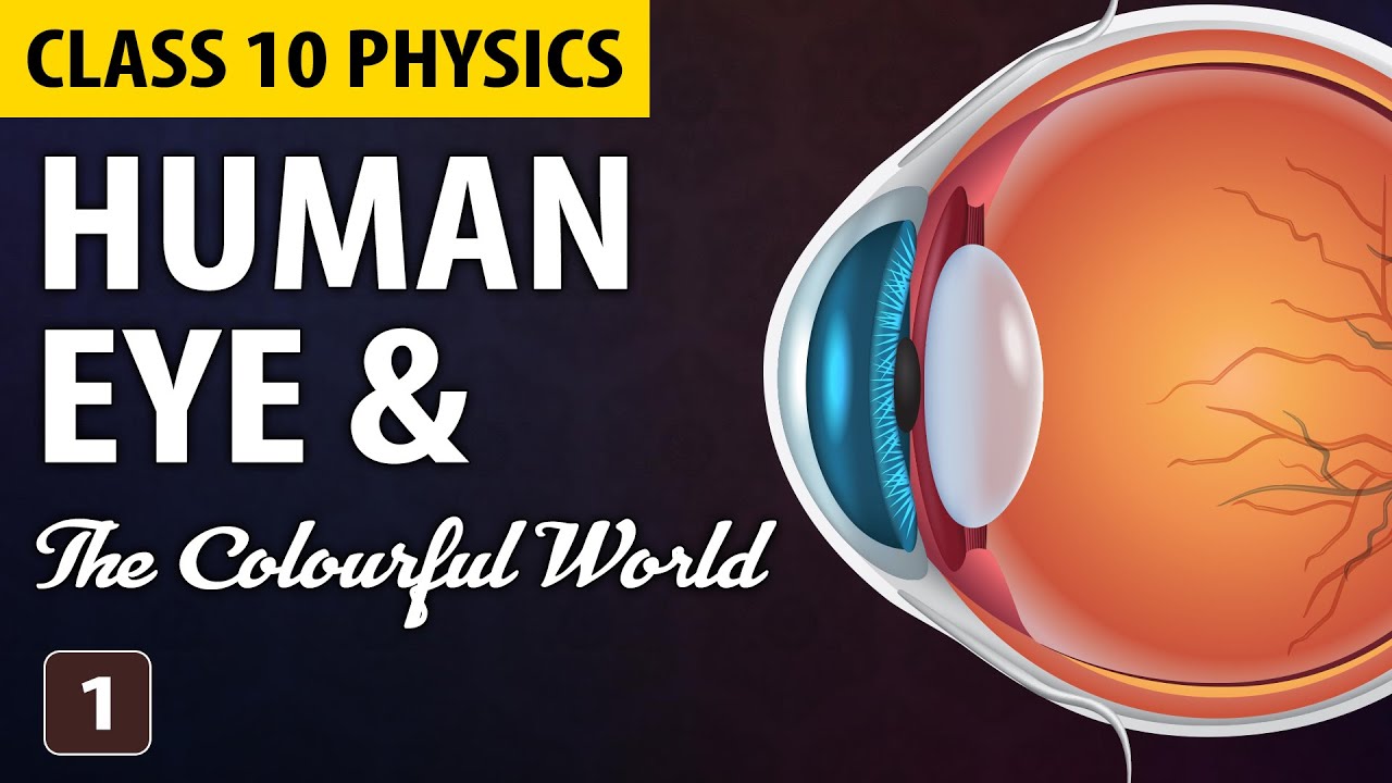 Human Eye and Colourful World Class 10 Part 1 (Animation) | Class 10 Science Chapter 11 | CBSE