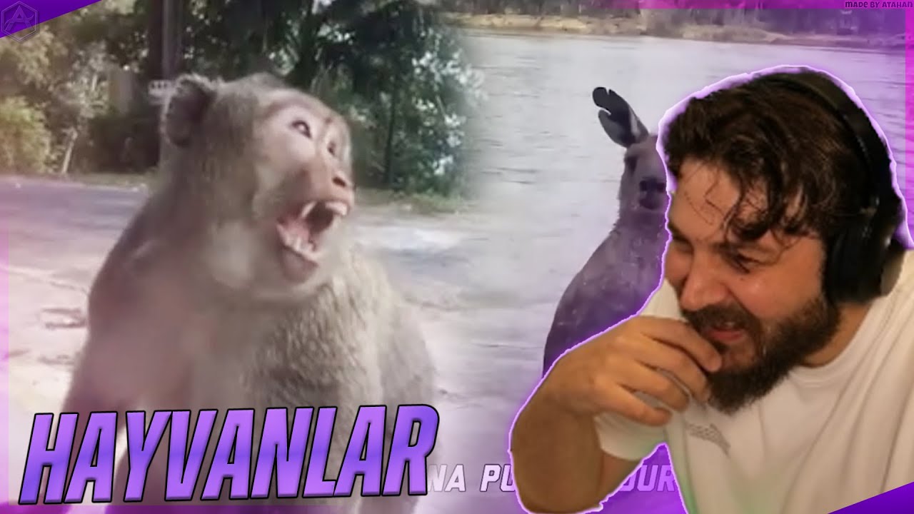 Elraenn - FailArmy Çılgın Hayvanlar! Tepki! | @failarmy