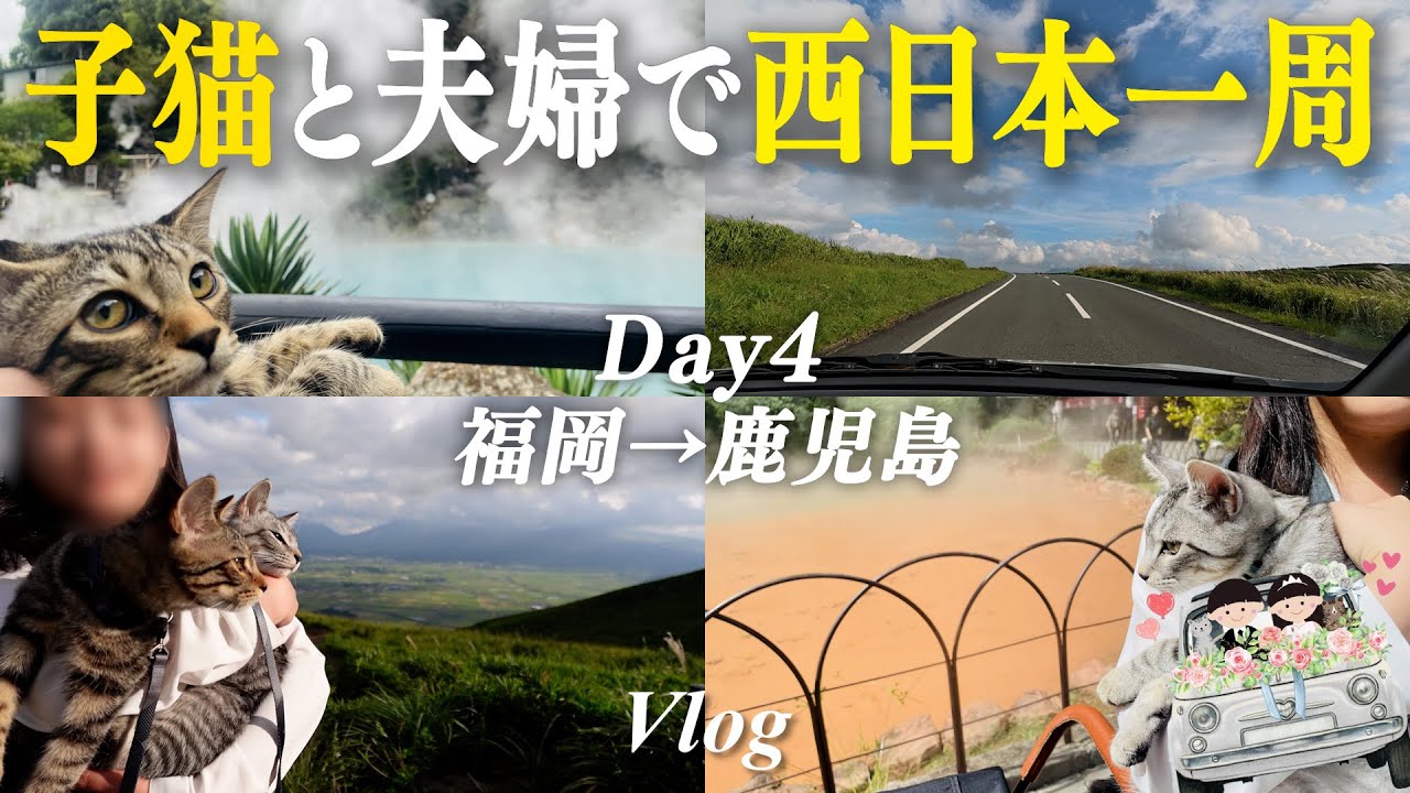 ついに子猫たちと九州初縦断達成！【西日本一周vlog#4】｜阿蘇｜ミルクロード｜高千穂｜別府｜地獄めぐり｜観光｜子猫｜猫のいる生活｜ペット｜ネコドライブ｜結婚生活｜ペット宿泊可のホテル｜新婚旅行｜