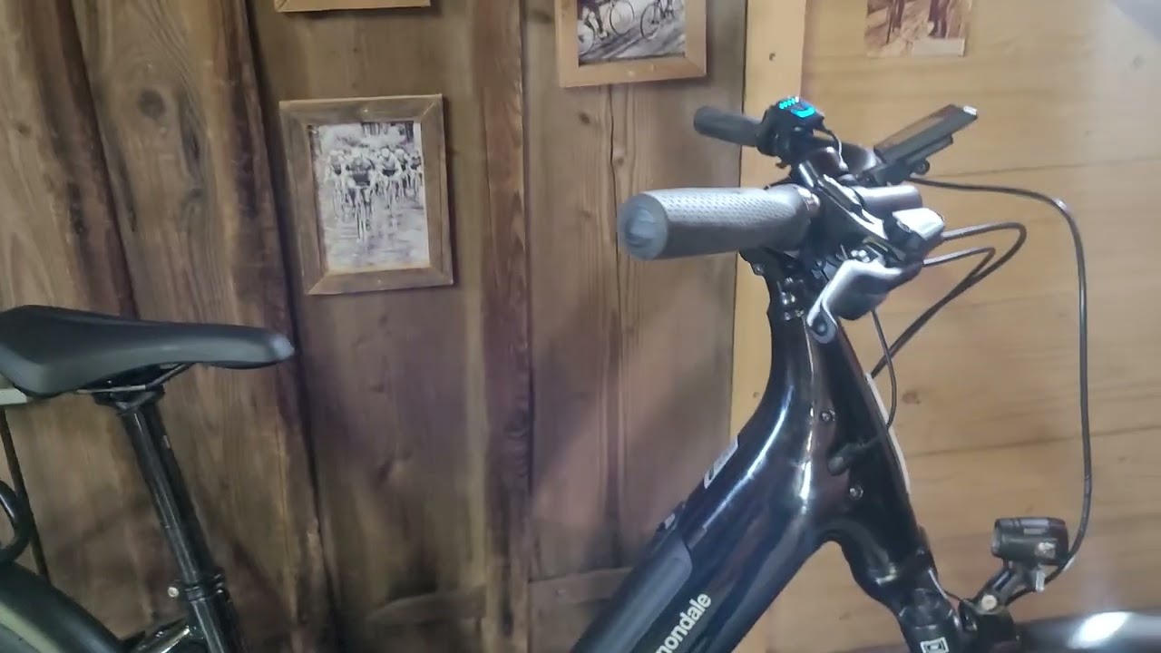 Cannondale Tesoro Neo X2