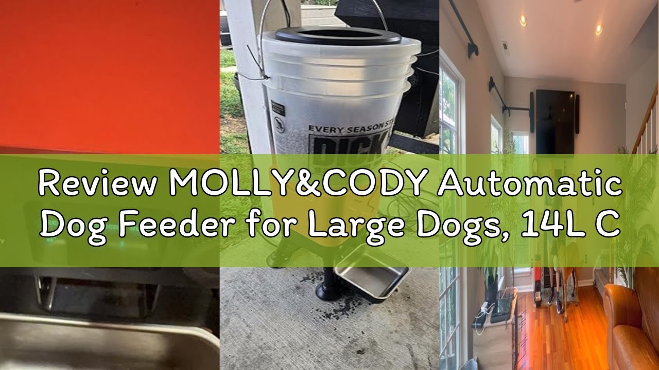 Review MOLLY&CODY Automatic Dog Feeder for Large Dogs, 14L Capacity, Remote Feeding, Anti-Blockage S