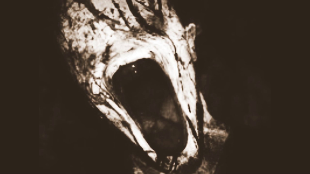 The face in the woods| Creepypasta