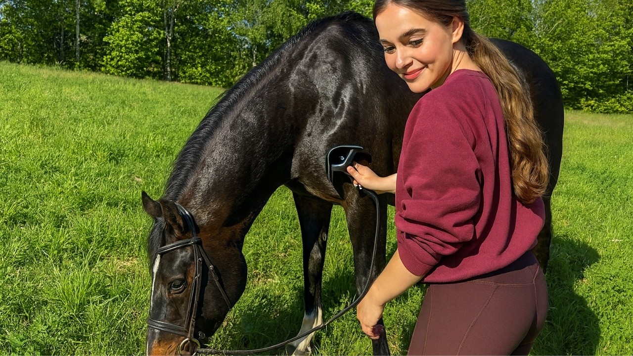 Everyday Life with My Horse Family: 2 Stallions and a Little Pony