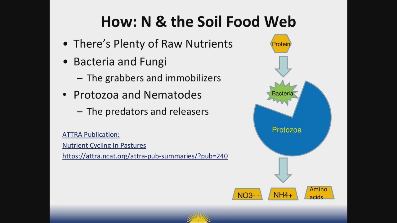 Tall Grass Grazing: Transition Off of N Fertilizer