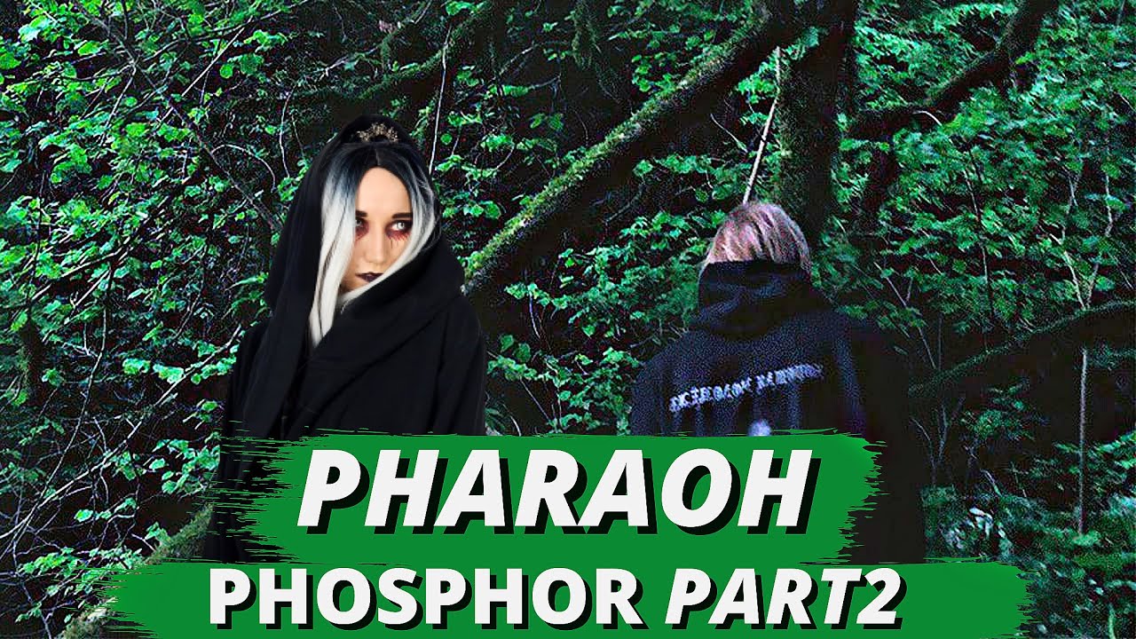 PHARAOH - PHOSPHOR#2| Реакция ВАМПИРА