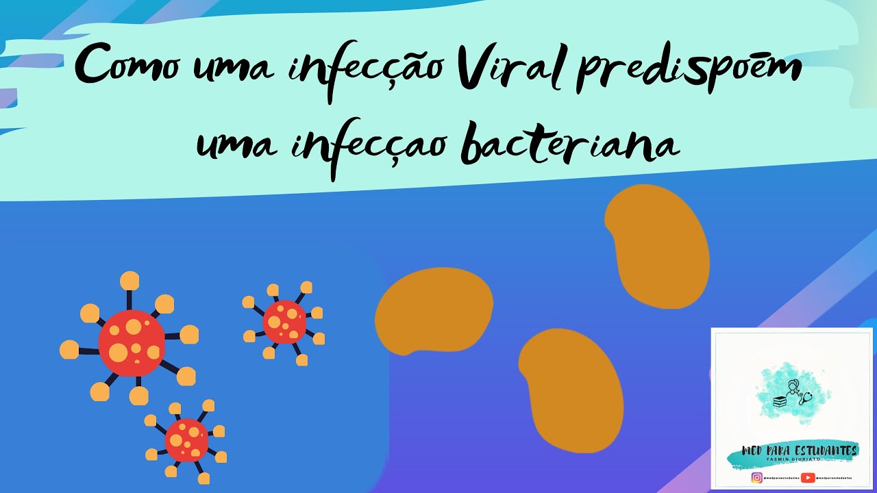 Por que infecções virais predispõem infecções Bacterianas?