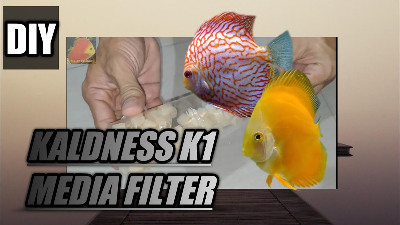 DIY - Kaldnes K1 media filter