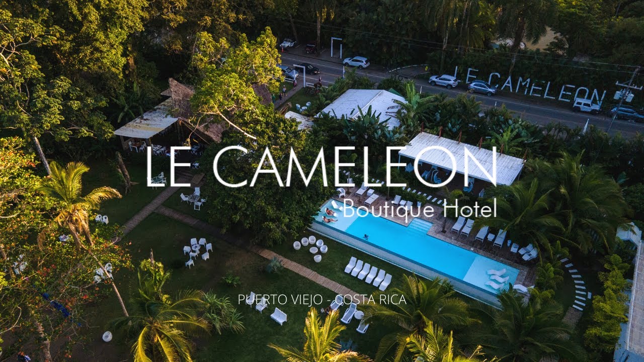 Le Cameleon - Puerto Viejo, Costa Rica - 4K