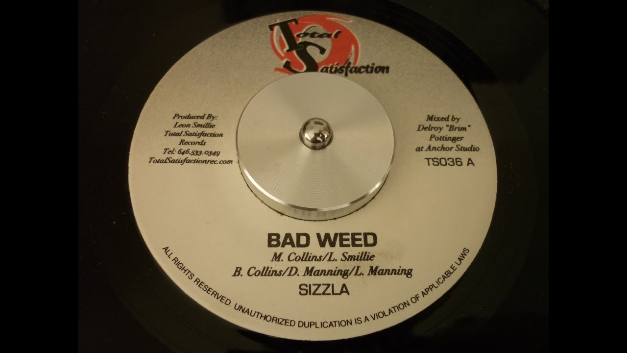 DECLARATION OF RIGHTS RIDDIM - TOTAL SATISFACTION RECORDS