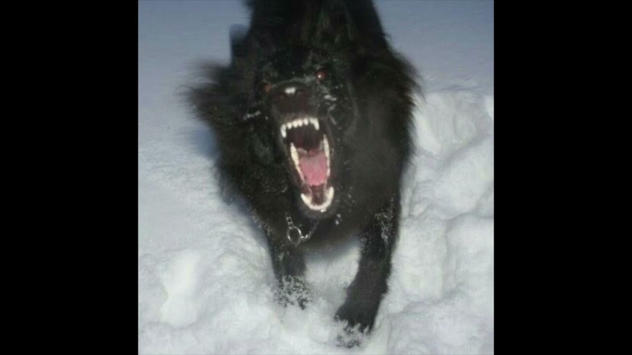 (free) heylog type beat tears of blood