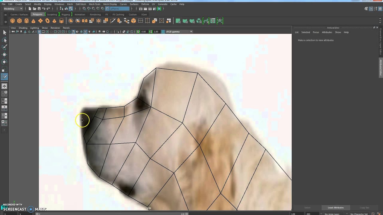 Maya 2016: 08  Quad Draw Part 1