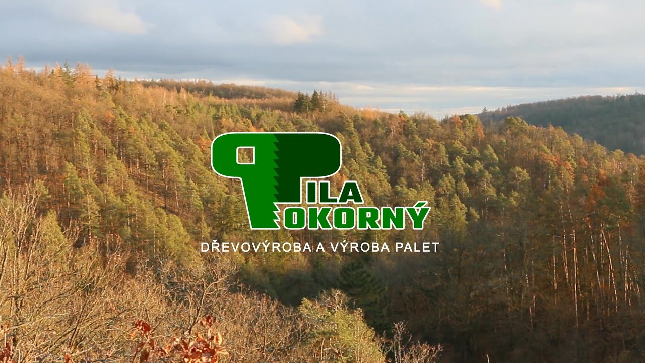 Pila Pokorny - Prezentace