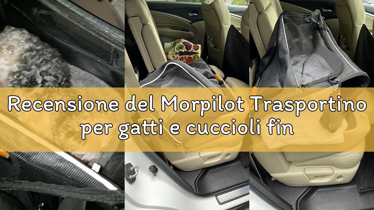 Recensione del Morpilot Trasportino per gatti e cuccioli fino a 5 kg, trasportino con cerniere di si