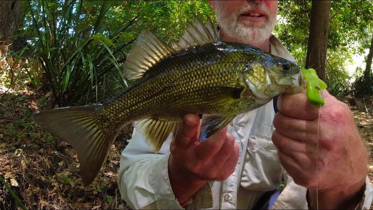 BASS FISHING, EXPLORING A CRYSTAL-CLEAR RIVER.