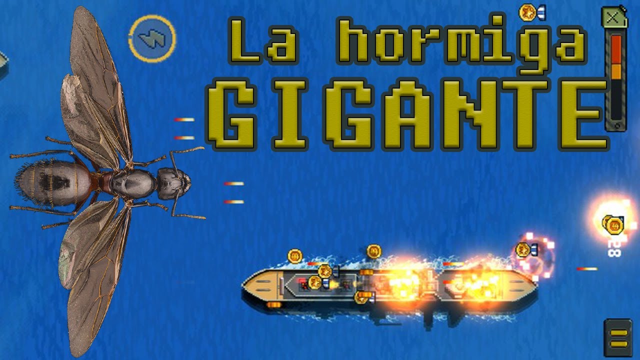 ANTenas || Camponotus ligniperdus - La hormiga GIGANTE