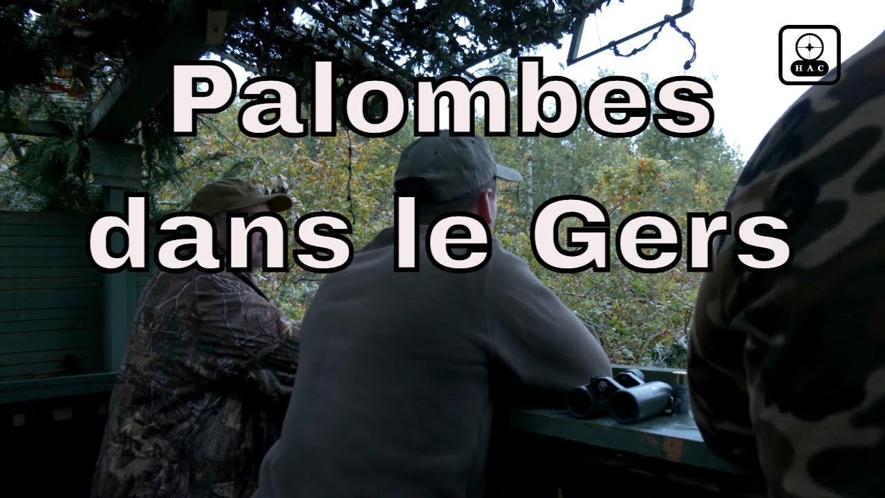 La fièvre bleue dans le Sud Ouest part 4