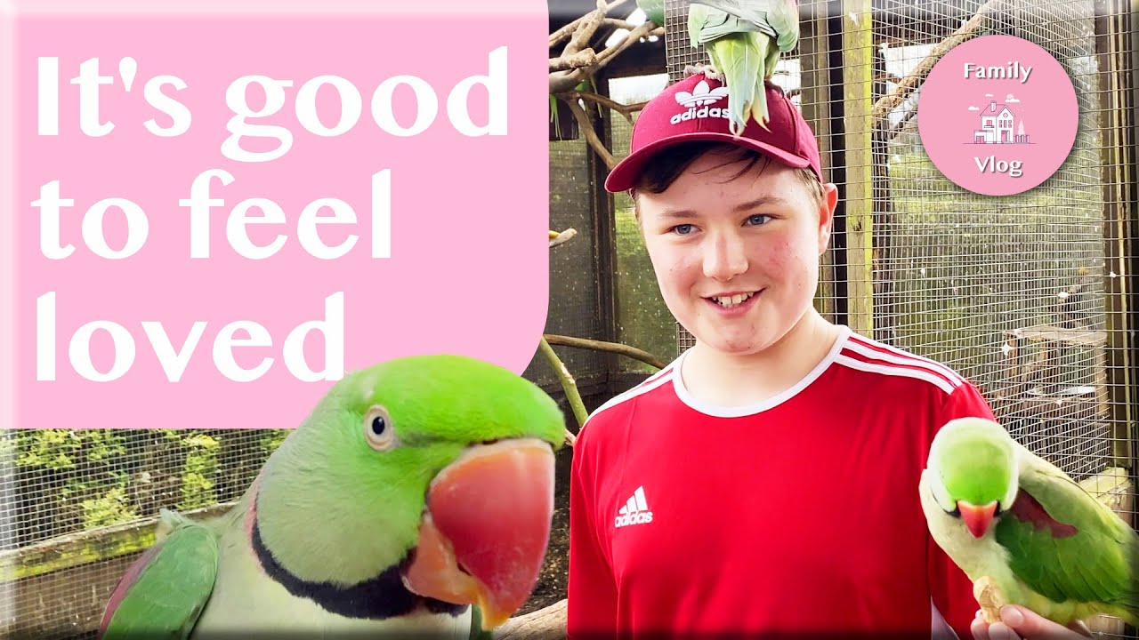 SHOWING PEOPLE THEY'RE LOVED || UK Family Daily Vlog
