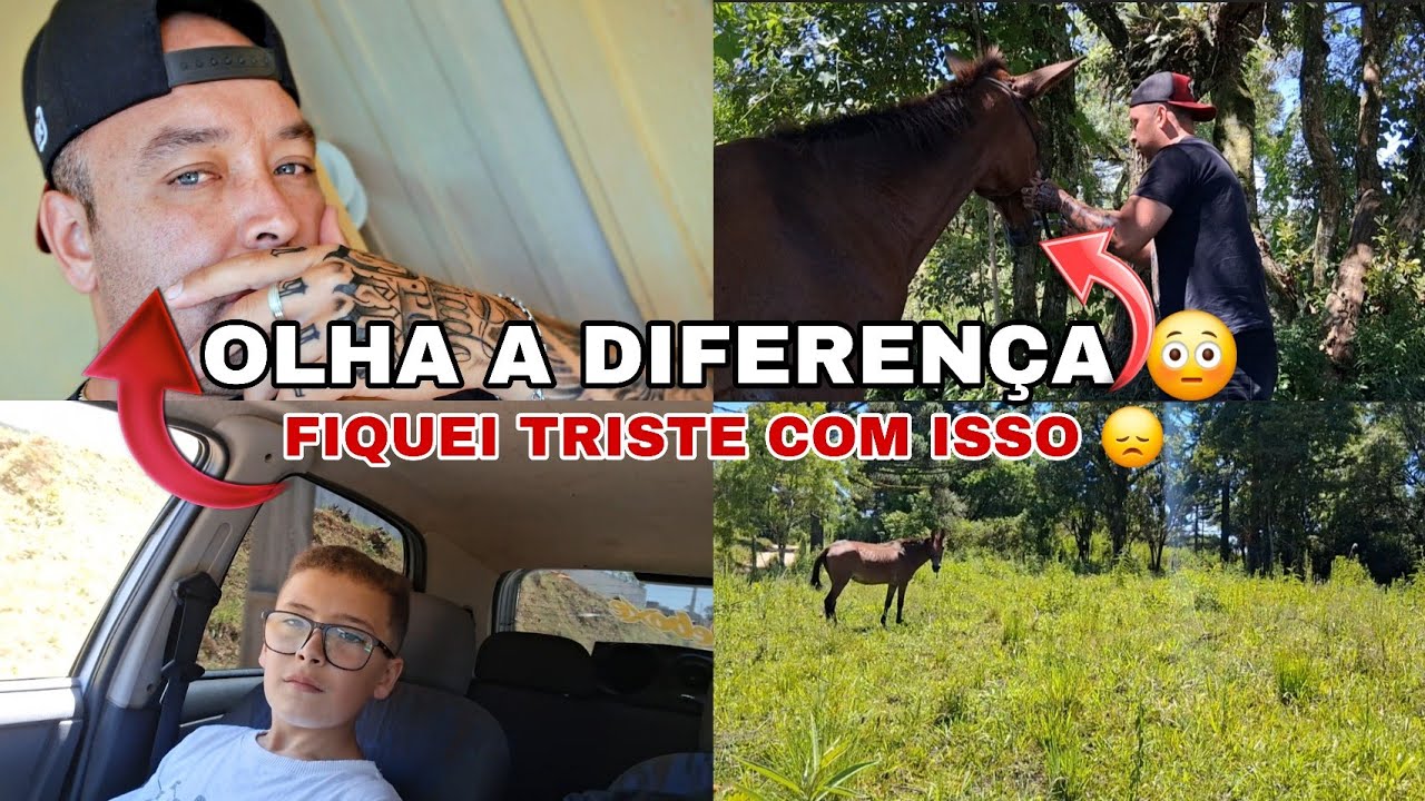 INFELIZMENTE PERDI 😞MAIS VOU RECUPERAR!FUI VÉ COMO A MORENA TÁ 