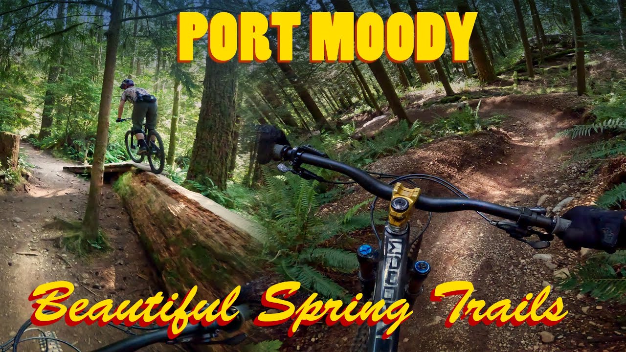 Port Moody - Spring Mix
