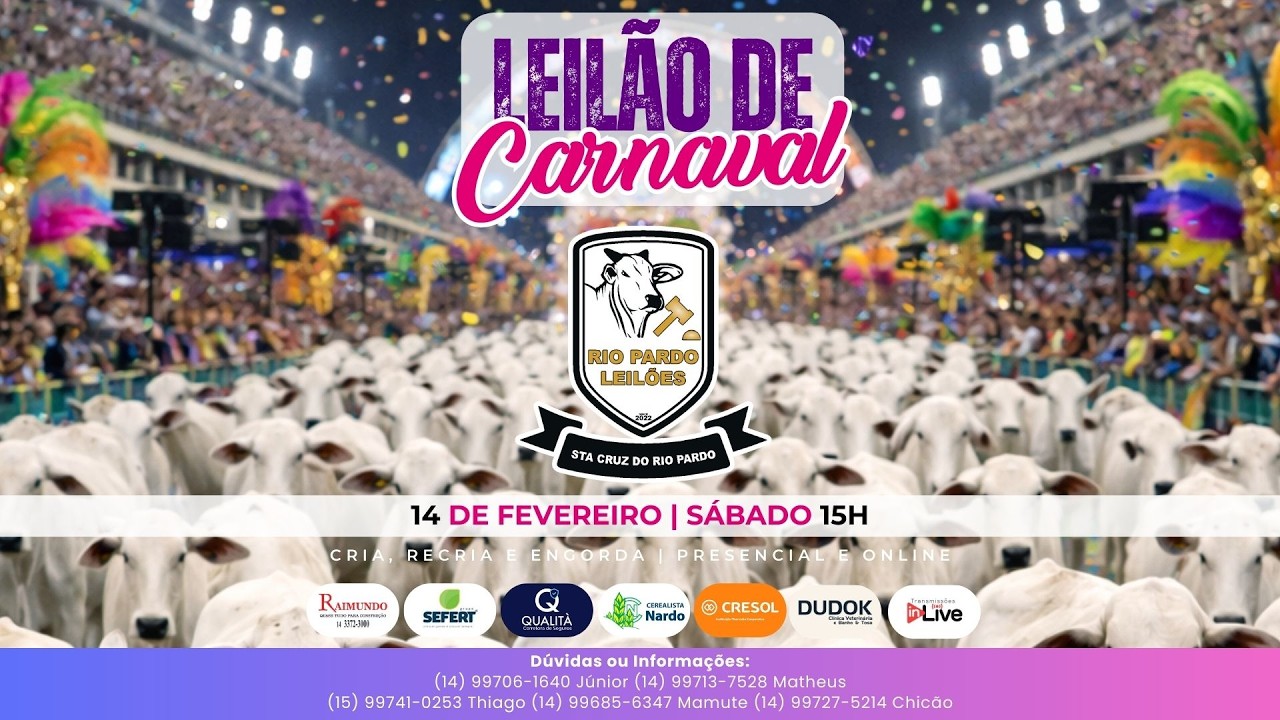 1º LEILÃO DE CARNAVAL | RIO PARDO LEILÕES | LEILÃO AO VIVO | 14/02/26