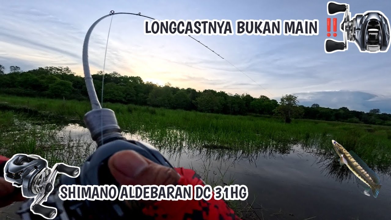 Unboxing dan Tes Langsung Shimano Aldebaran DC 31HG | Lempar Biasa Tembus 50m !! @Shimano Indonesia