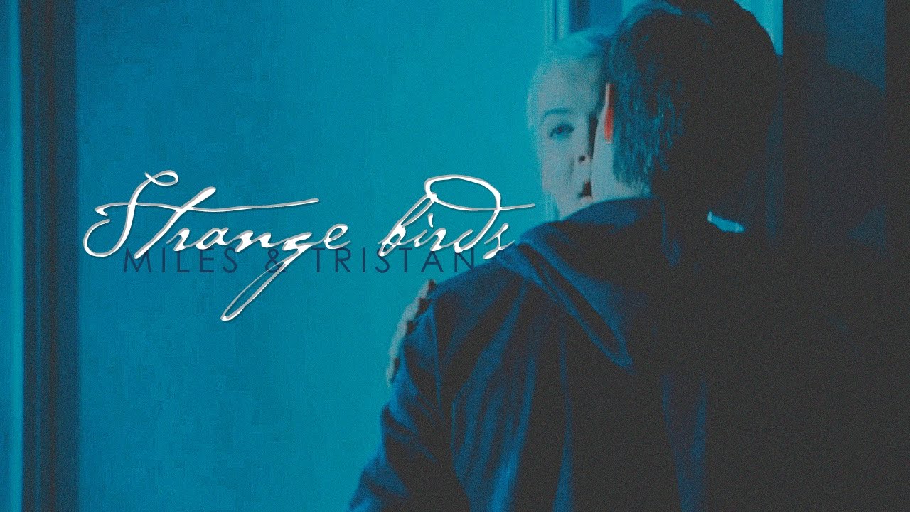 Miles & Tristan | Strange Birds