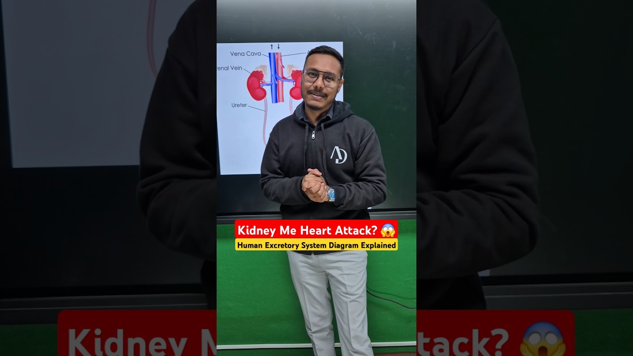 Kidney Me Heart Attack? 😱 | Human Excretory System Diagram Explained | Akshat Sir 