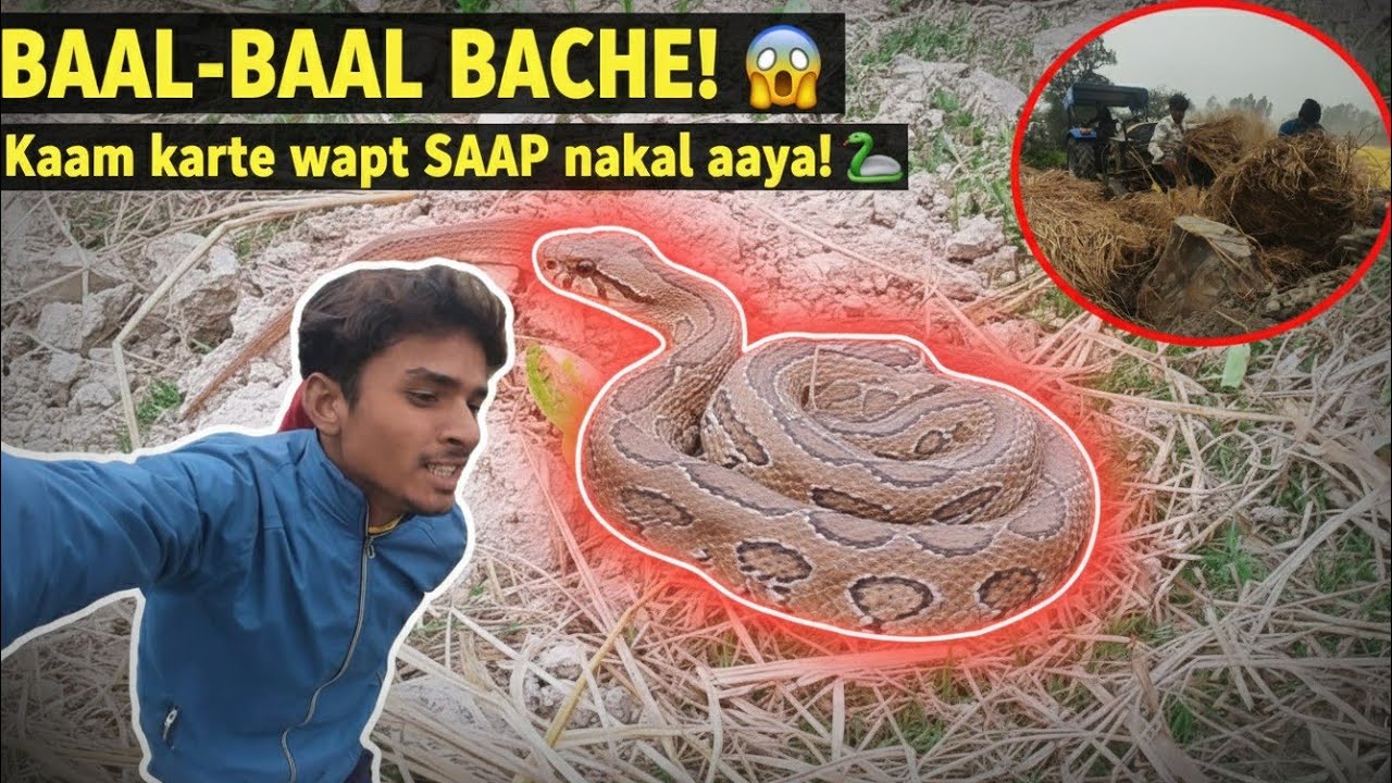 Khet Me Kaam Karte Waqt Saap 😨 | Bach Gaye Nahi To Kaat Leta