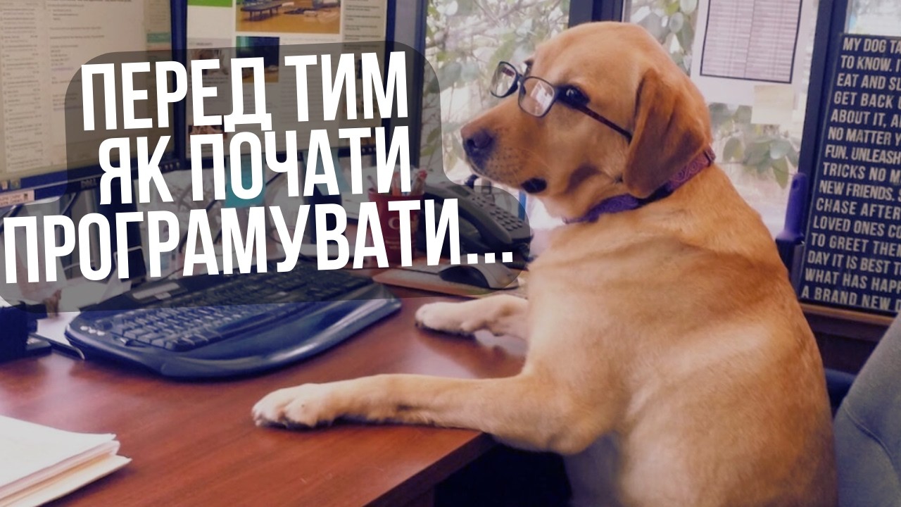 ❌НЕ йди в програмісти, поки не подивишся це відео! ❌ 6 причин не ставати IT-шником