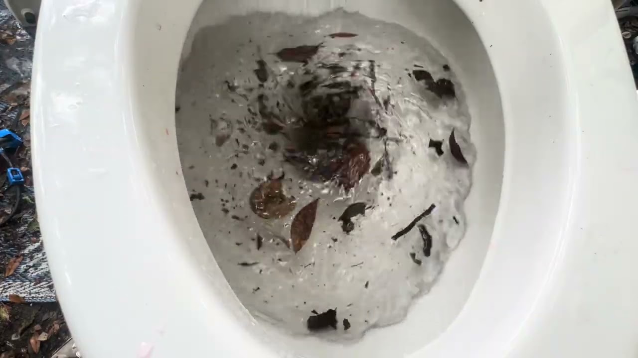 1990 American Standard Lexington Flushing Stuff
