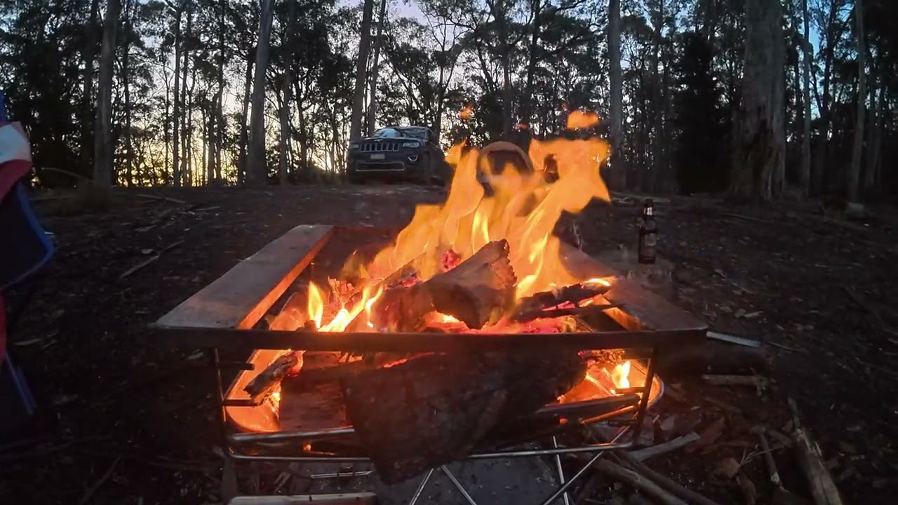 Alone in the Wild: My Journey to Unplug and Unwind - Australia.