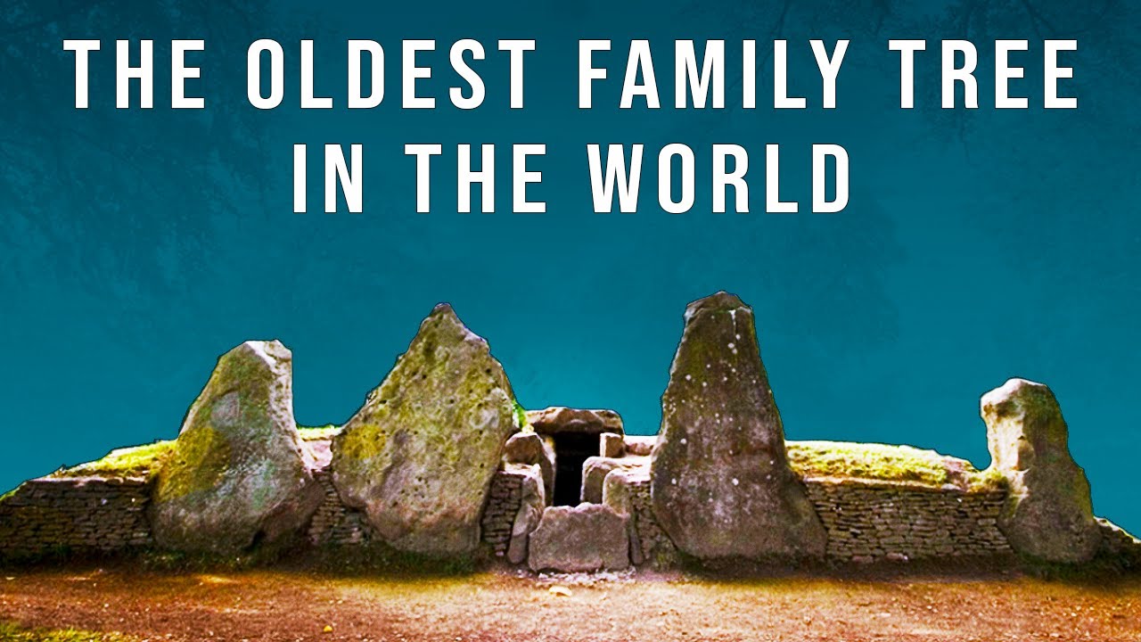 This is the Oldest Family Tree in the World (From the Tombs of Neolithic Britain)