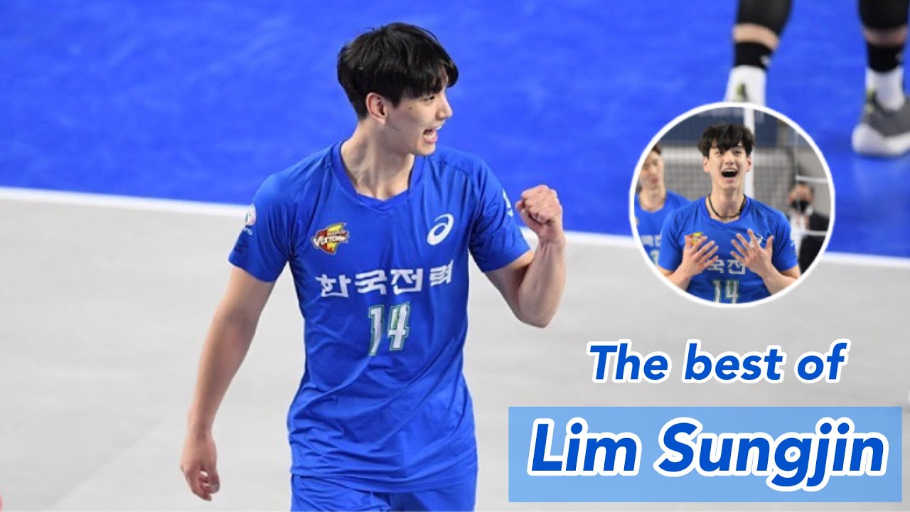 The best of Lim Sungjin 20-21 V-리그 (임성진선수플레이모음)