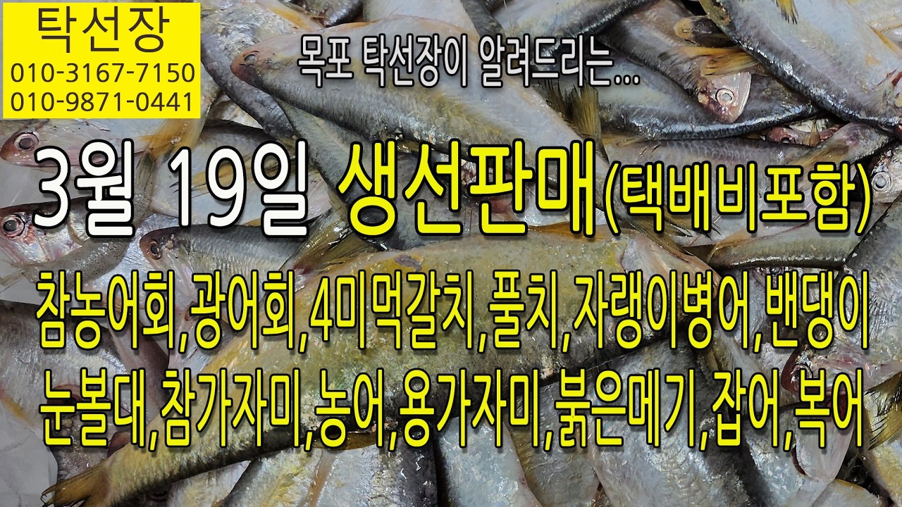 3월 19일, 참농어, 광어회, 4미먹갈치, 풀치, 자랭이, 밴댕이, 눈볼대, 참가자미, 농어, 용가자미, 붉은메기, 잡어, (탁선장 남도농수산 생선카페 010 3167 7150)