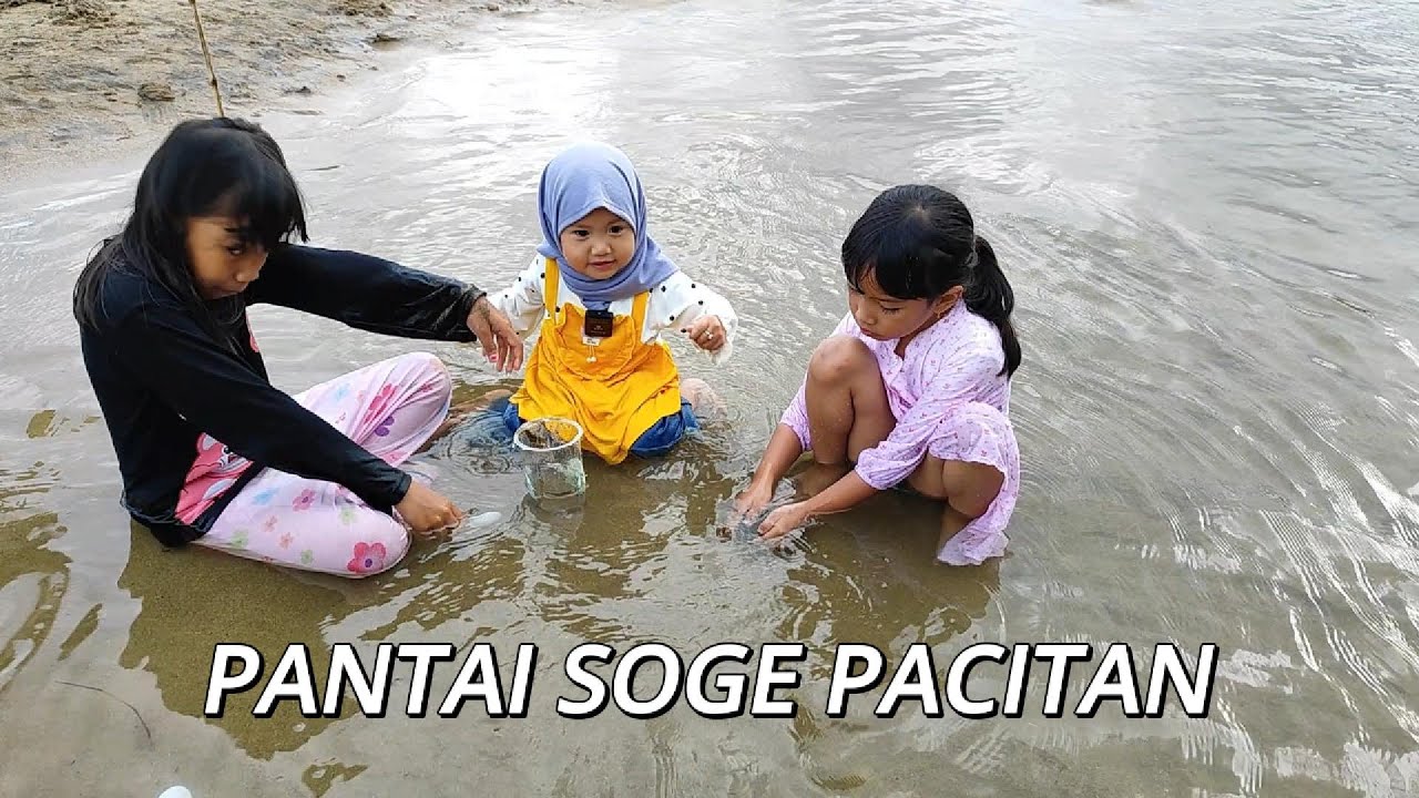 ZEA MAIN SERU DI PANTAI SOGE PACITAN