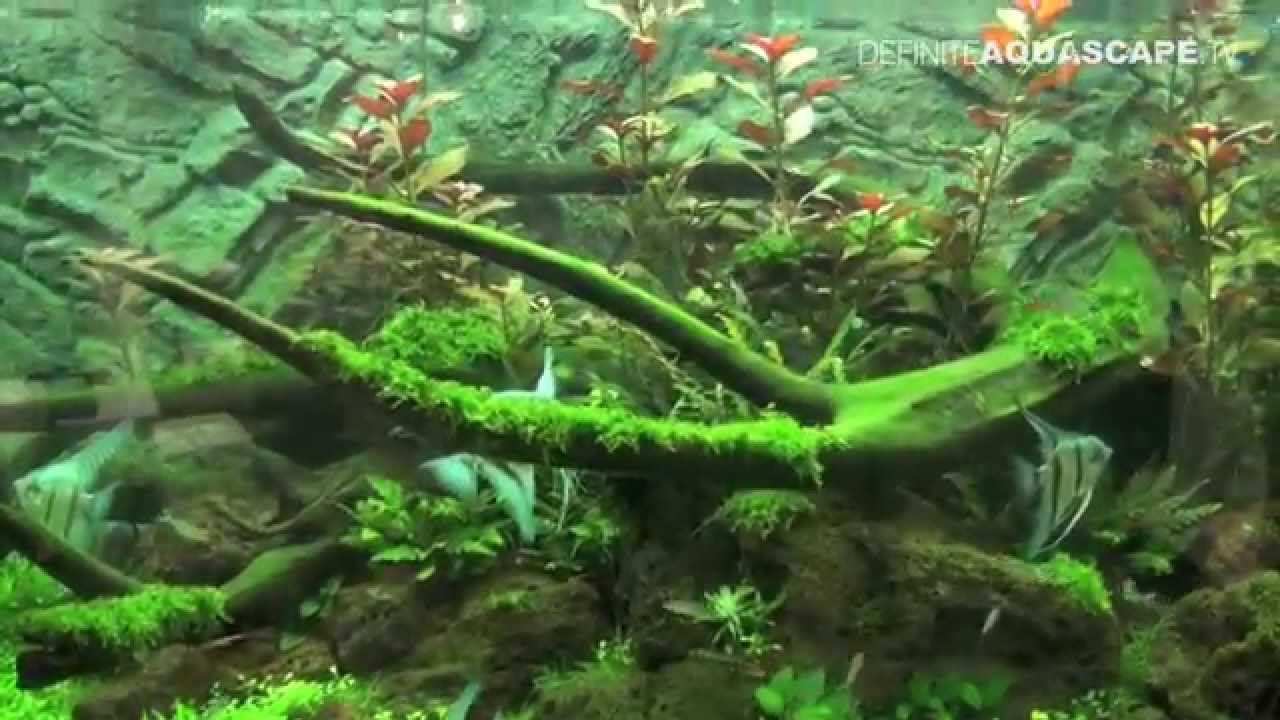 Aquarium ideas from InterZoo 2014 (pt.37) - JUWEL VISION, RIO and LIDO aquariums