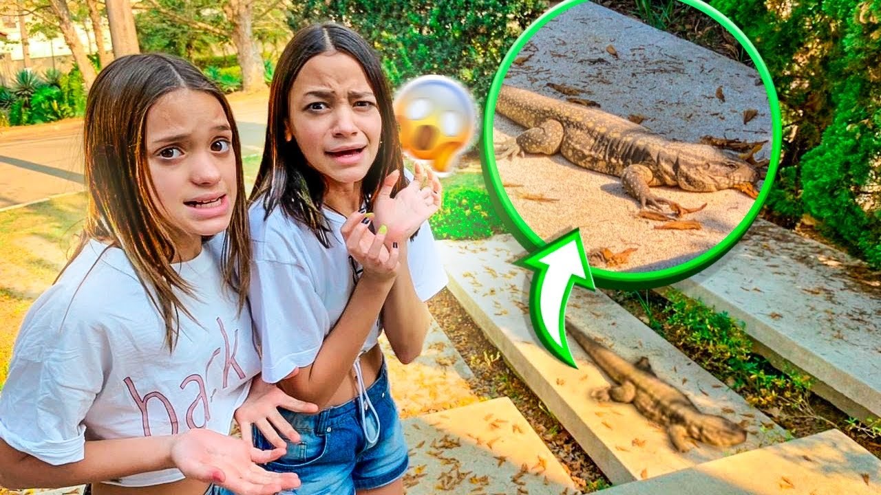 UM JACARÉ INVADIU NOSSA CASA - MILLENA E MANU MAIA