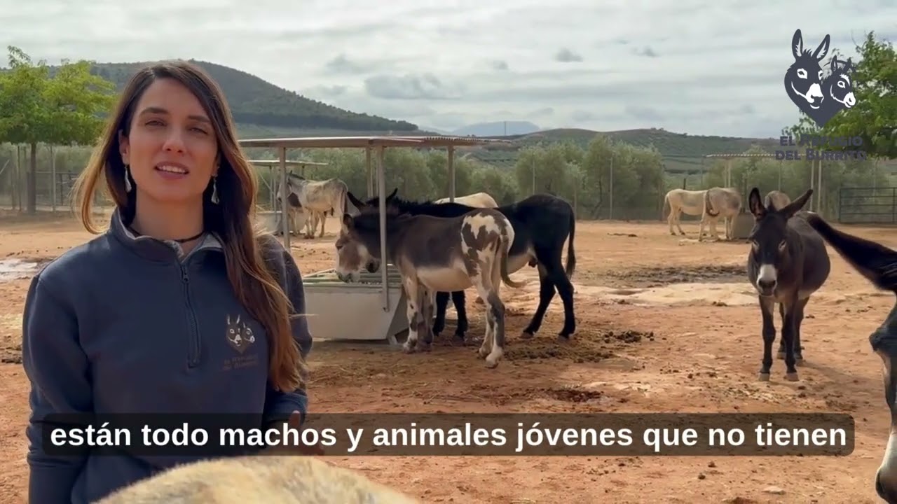 ¡BIENVENIDOS A NUESTRO PRADO PRINCIPAL!