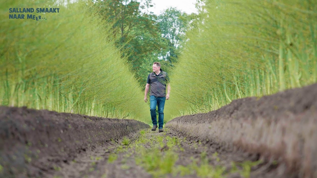 Sallandse Smaakmakers Aspergeboerderij De Boerkamp