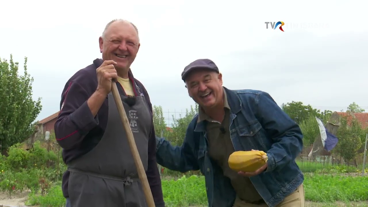 Cum ne-a fost vorba la Beregsău Mare, județul Timiș #GraiulBanatean @TVRTM