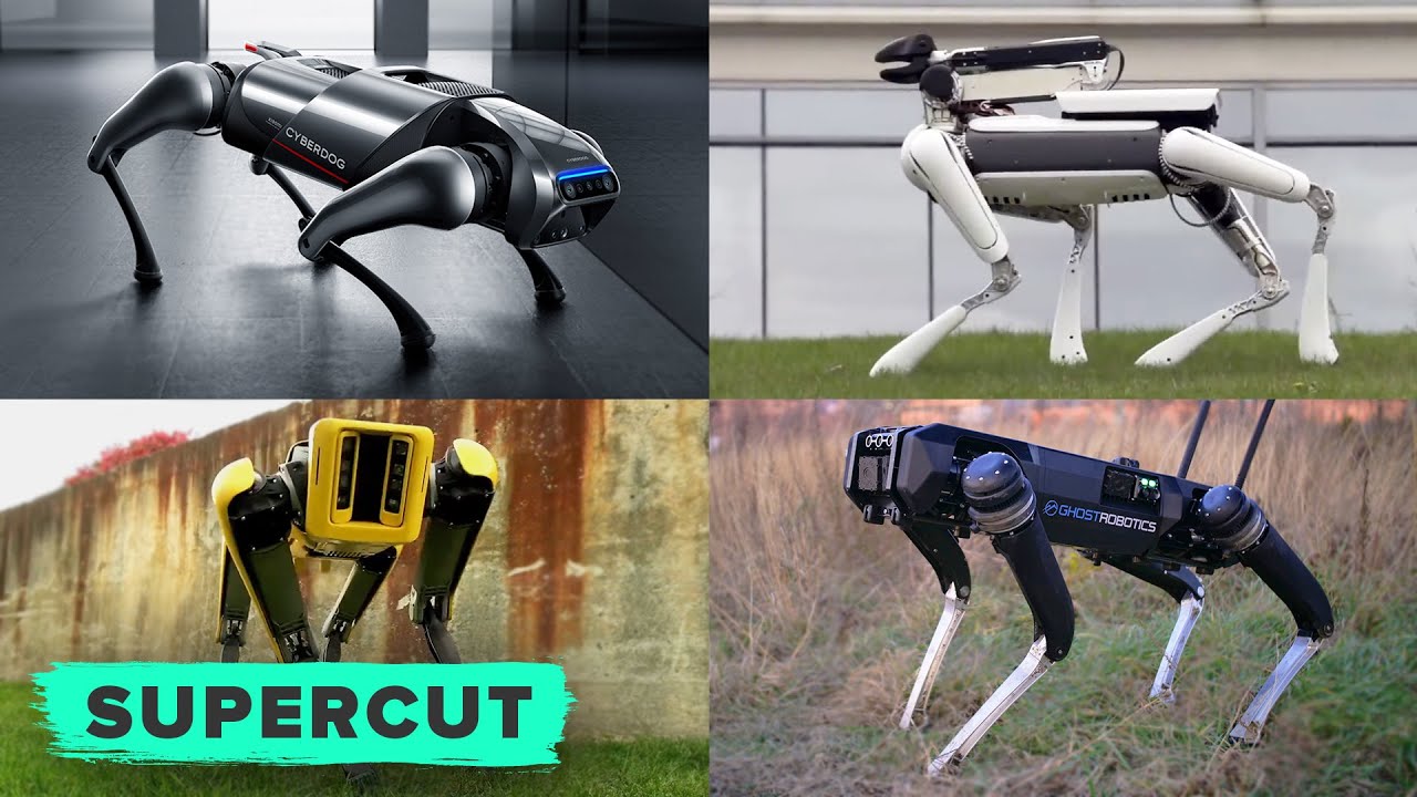 ALL the robotic dogs ever invented! (Watch it here)