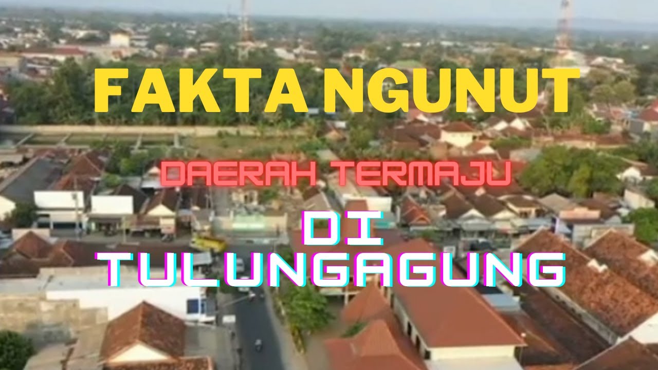 Warganya Cerdas !! Fakta Kecamatan Ngunut Daerah Termaju di Tulungagung - Tiap Hari Hasilkan Ini lho