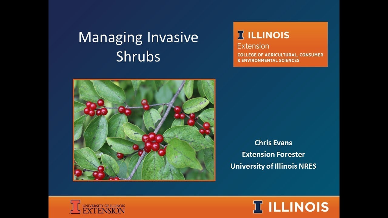 managing invasive species