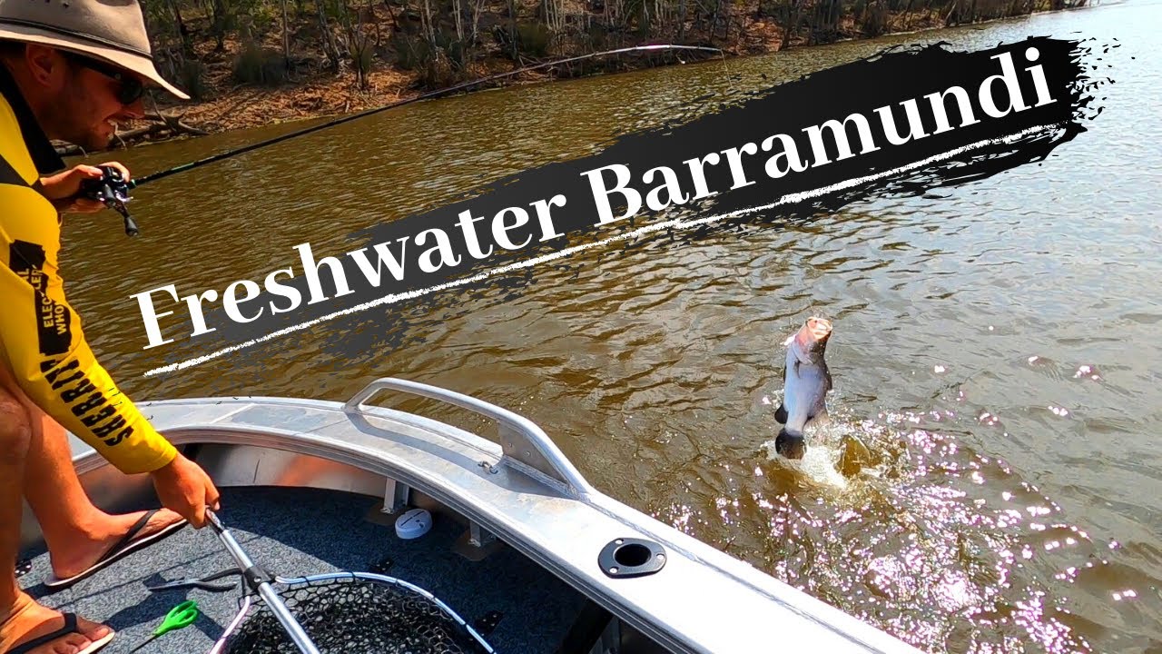 Fishing for freshwater BARRAMUNDI in Lenthall's Dam