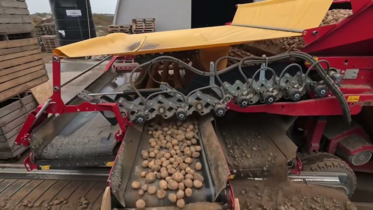 Sortowanie ziemniaków prosto z pola TOMRA 3A 1200