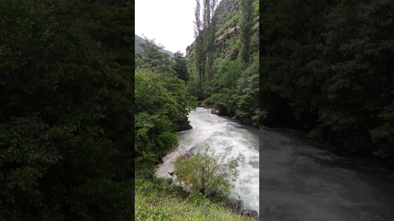 ALTIPARMAK DERESİ YUSUFELİ #artvin