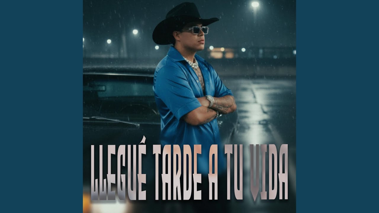 Llegué Tarde A Tu Vida