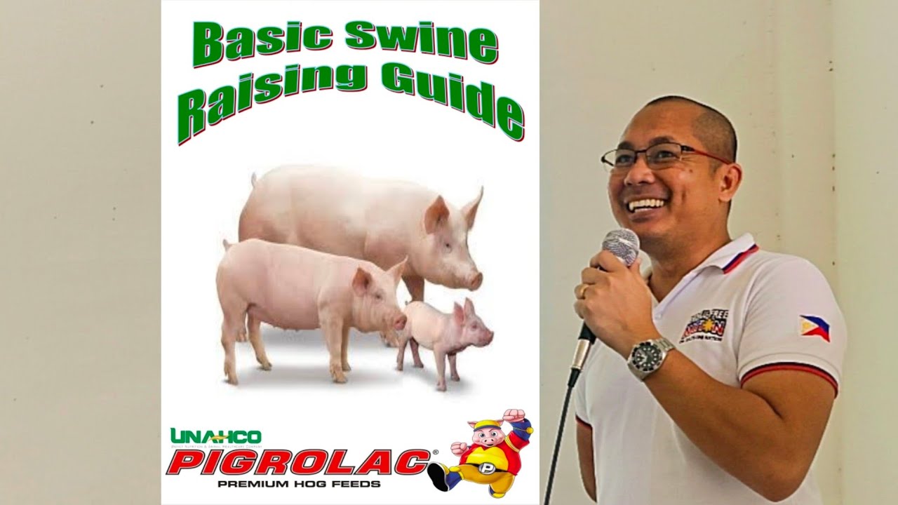 Pag-aalaga ng Inahing Baboy | Basic Swine Raising Guide