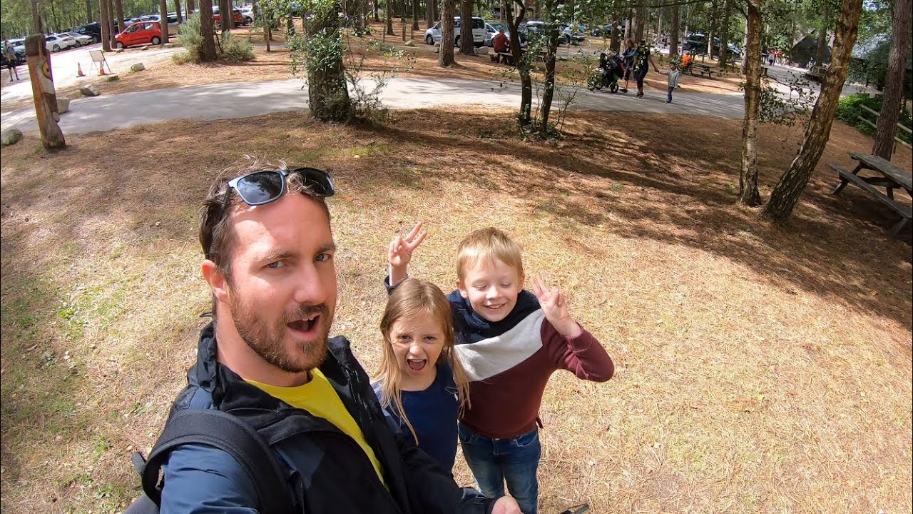 Why I left Cornwall | Moors Valley Country Park | Love Sundays