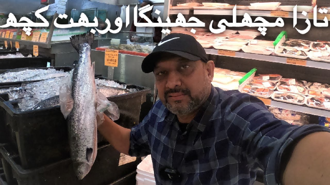 Alive Fish Shop | Fish Market Canada | @My Canada 786